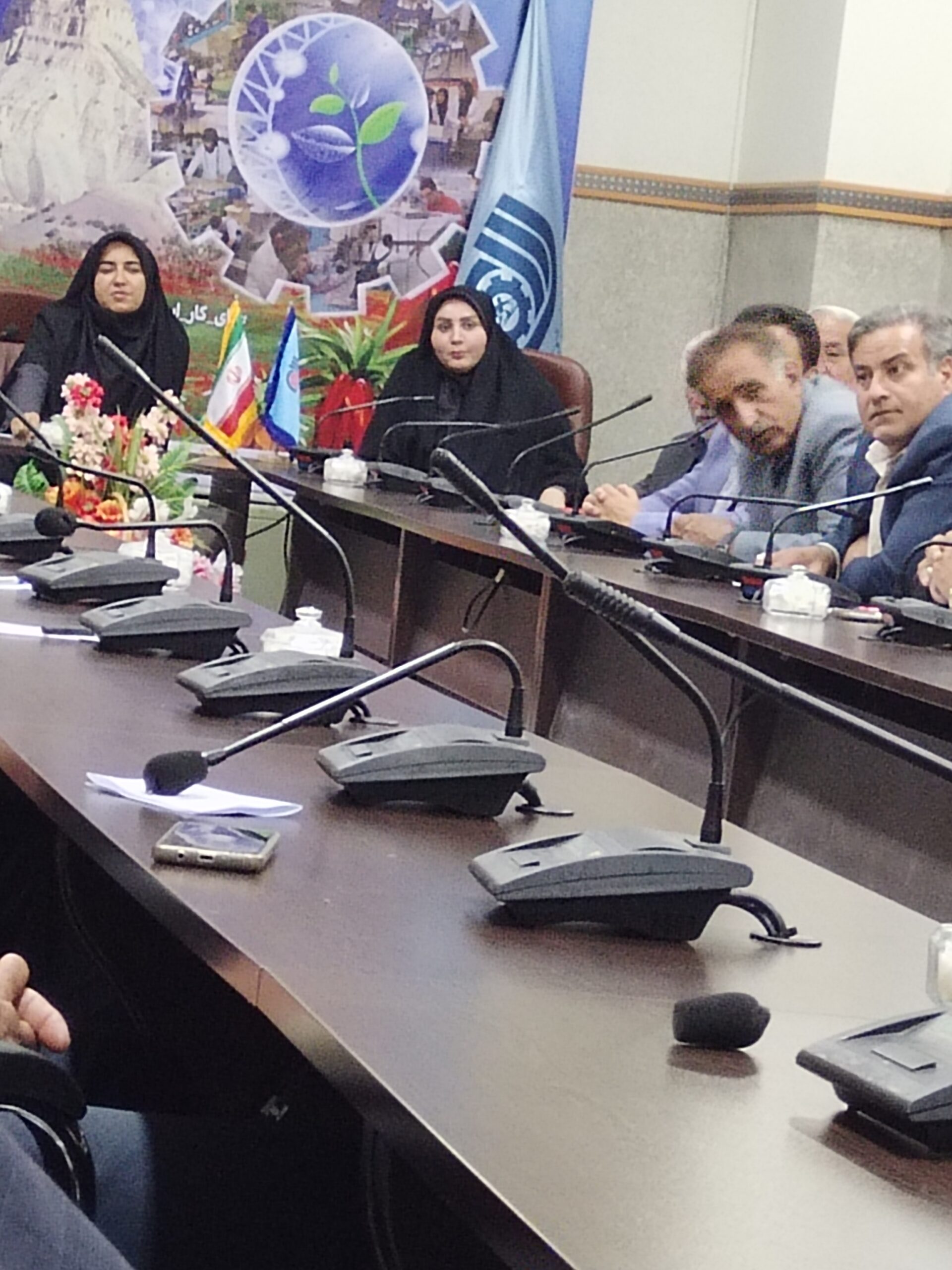سارا فلاحی و پارلمان پنجستونی؛ از نمایندگی تا میانجیگری توسعه