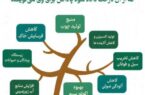 اینفوگرافیک/فوائد درخت و درختکاری