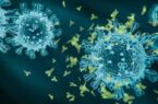 کرونا همچنان در کمین؛ رئیسی: ویروس فعلاً جهش نیافته، اما مراقب باشیم