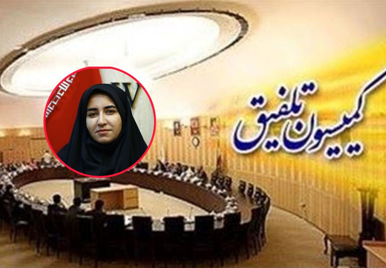 از کمیته حقوق بشر تا کمیسیون تلفیق؛ مسیر پیشرفت ملی یک زن ایرانی