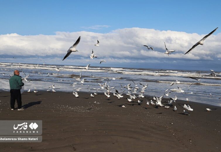 حال و هوای زمستانی خزر