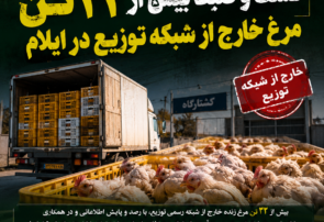 اینفوگرافی/ عملیات موفق سازمان اطلاعات سپاه ایلام علیه اخلالگران بازار