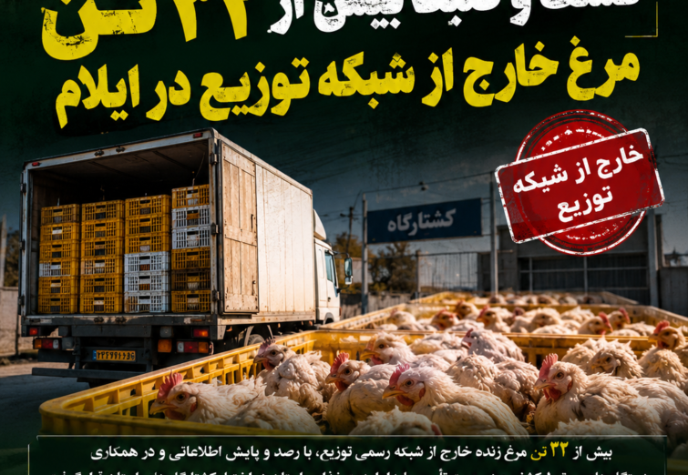 اینفوگرافی/ عملیات موفق سازمان اطلاعات سپاه ایلام علیه اخلالگران بازار