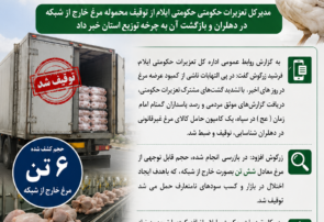 اینفوگرافی/«ضربه تعزیرات حکومتی استان ایلام  به بازار سیاه مرغ در دهلران؛ محموله خارج از شبکه توقیف شد»