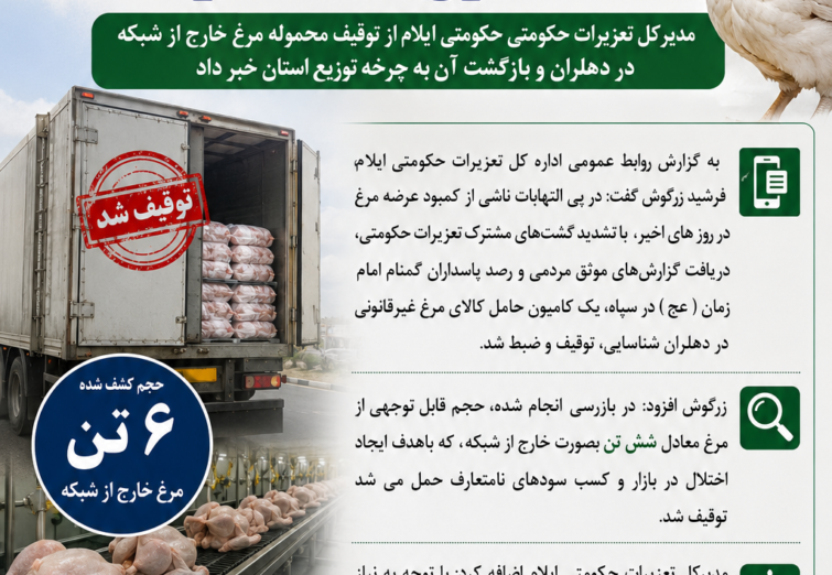 اینفوگرافی/«ضربه تعزیرات حکومتی استان ایلام  به بازار سیاه مرغ در دهلران؛ محموله خارج از شبکه توقیف شد»
